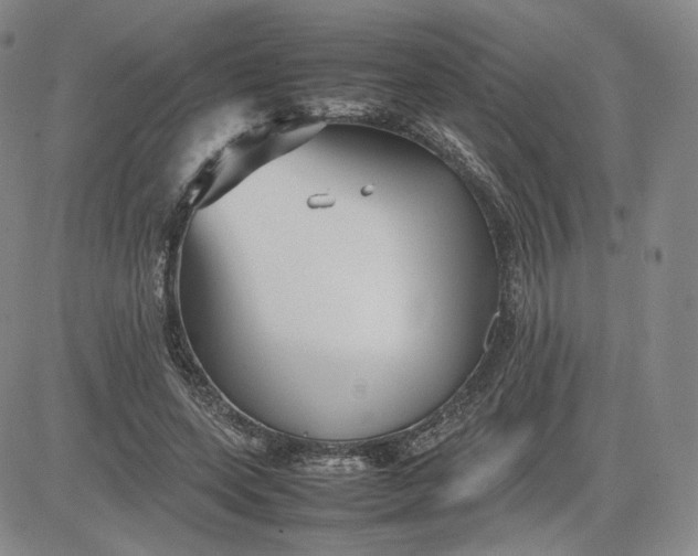 X0000080660543200612301338