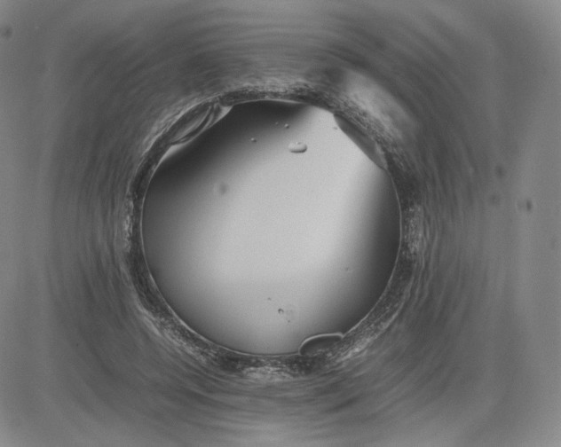 X0000080660544200612301338