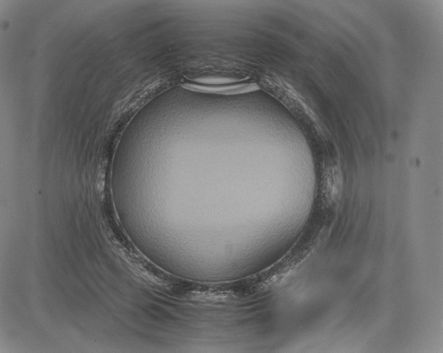 X0000080660545200612301338