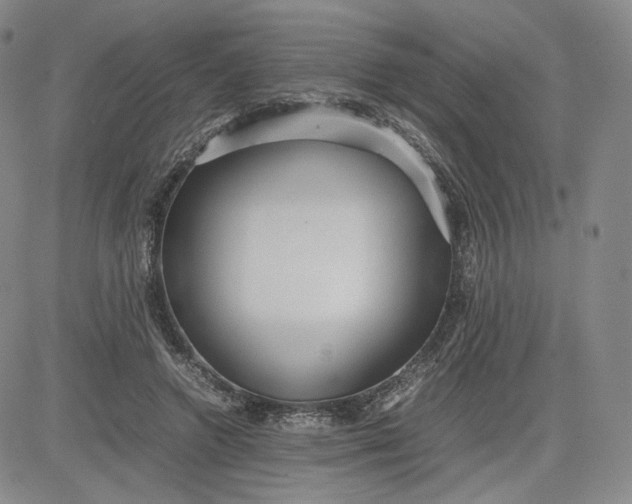 X0000080660546200612301338