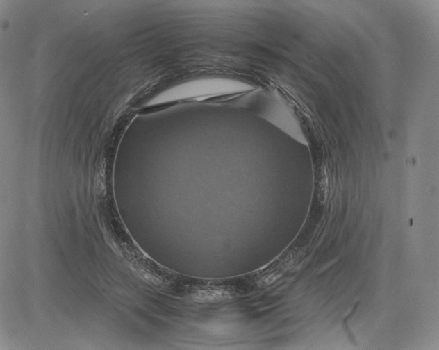 X0000080660547200612301338