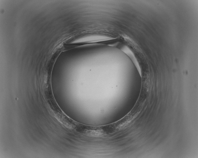 X0000080660548200612301338