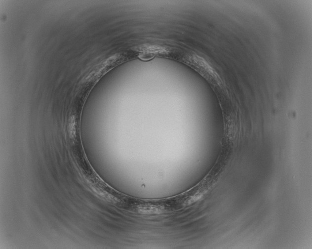 X0000080660549200612301338