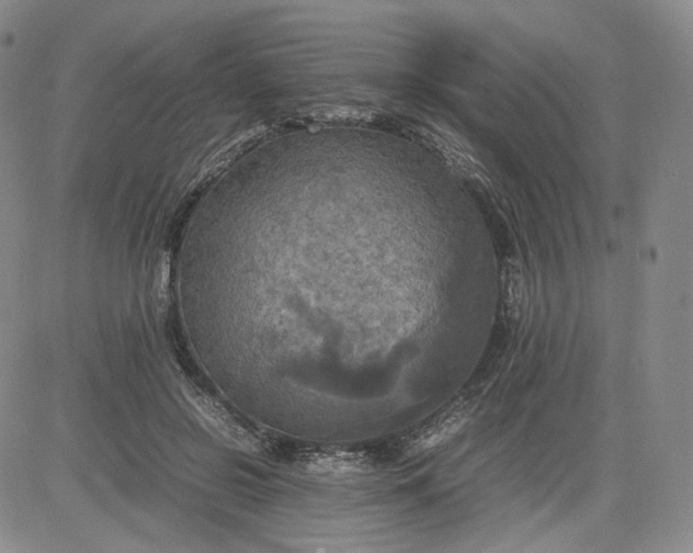 X0000080660550200612301338