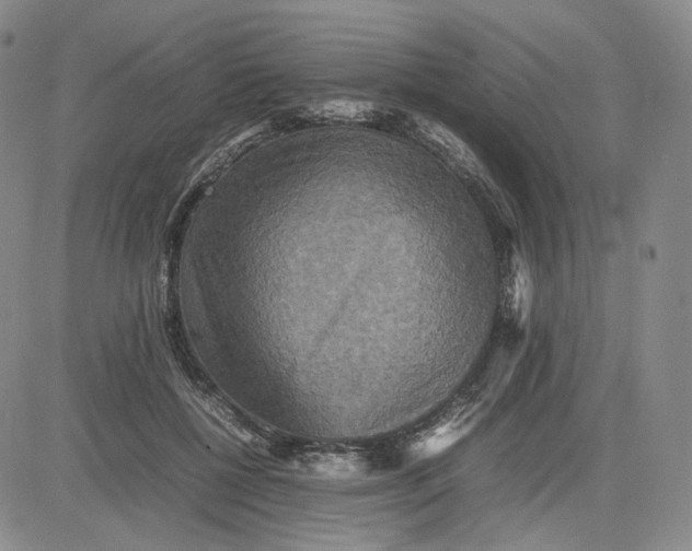 X0000080660552200612301338