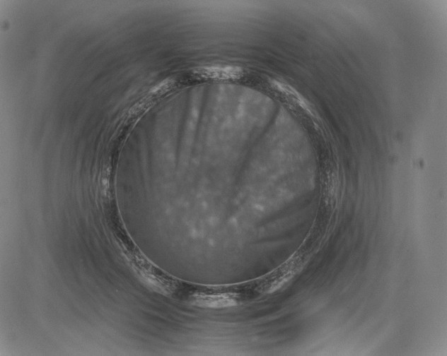 X0000080660553200612301338