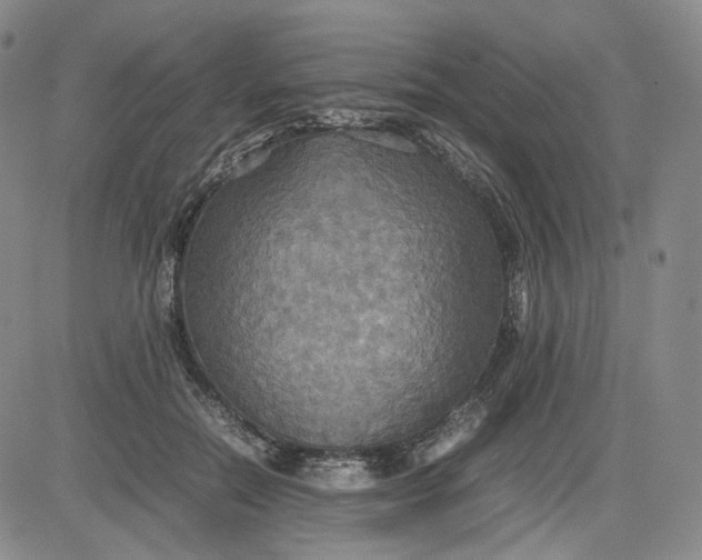 X0000080660554200612301338