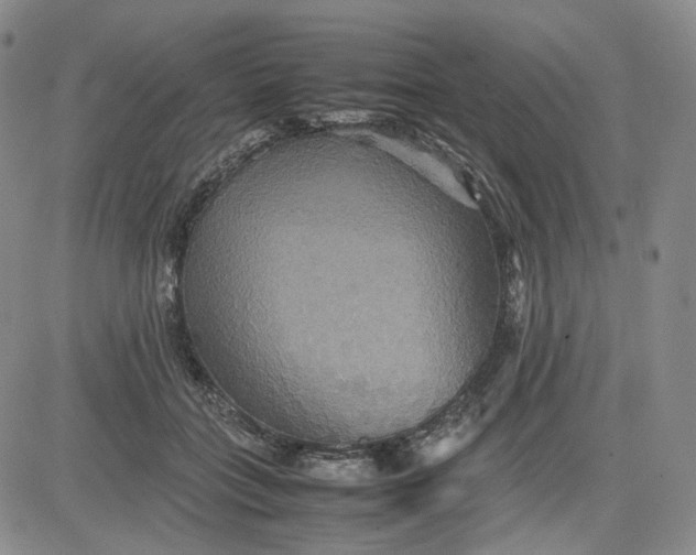 X0000080660555200612301338