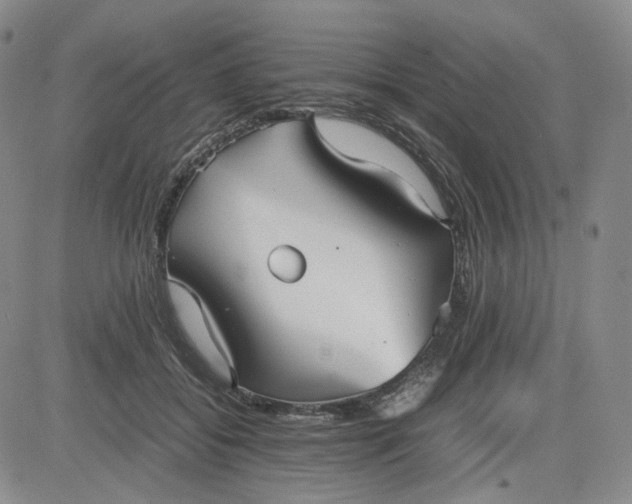 X0000080660556200612301338