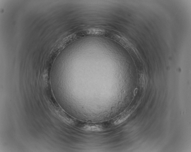 X0000080660557200612301338