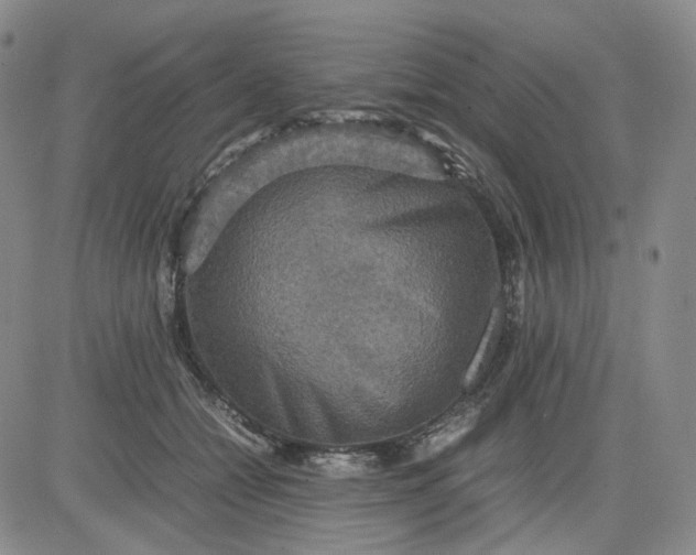 X0000080660558200612301338