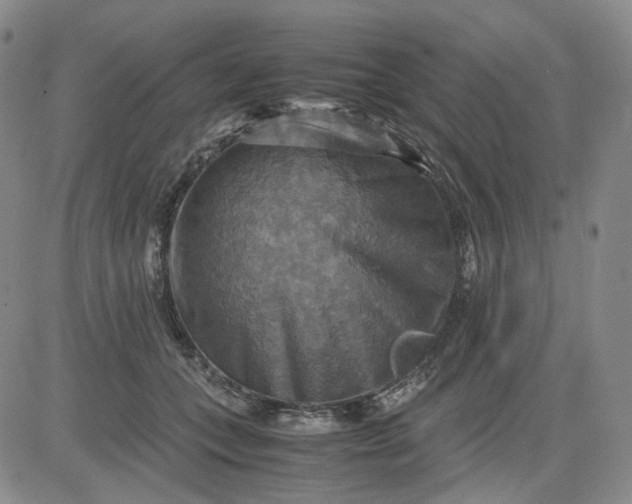 X0000080660559200612301338