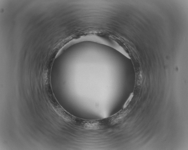 X0000080660560200612301338