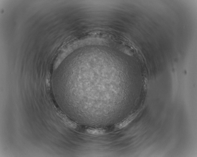 X0000080660561200612301338