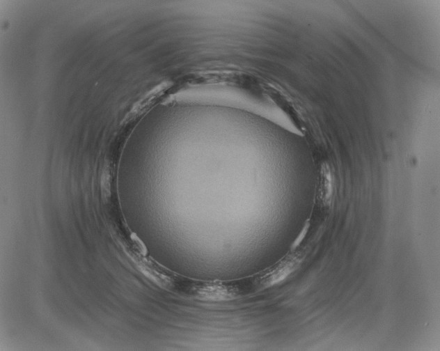 X0000080660562200612301338