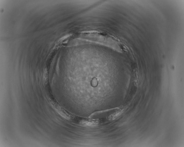 X0000080660563200612301338