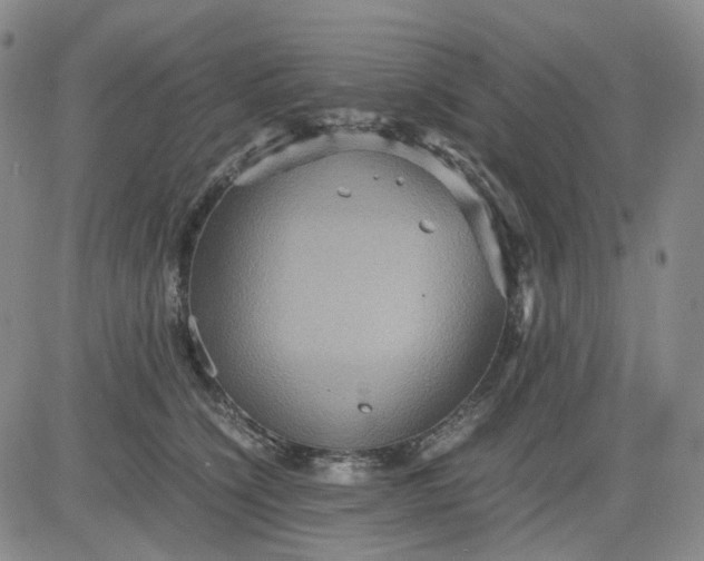 X0000080660564200612301338