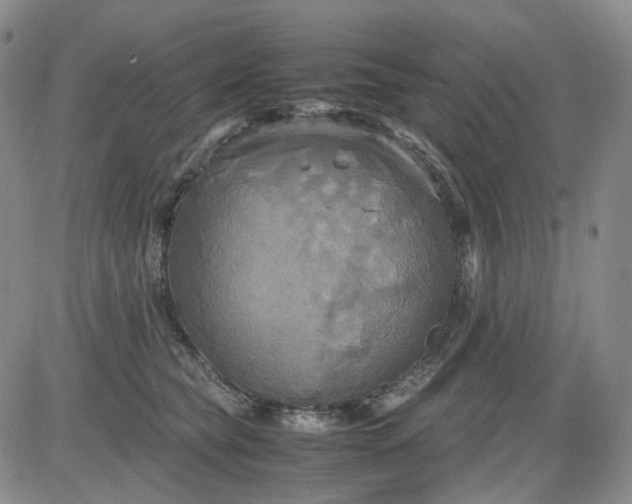 X0000080660565200612301338