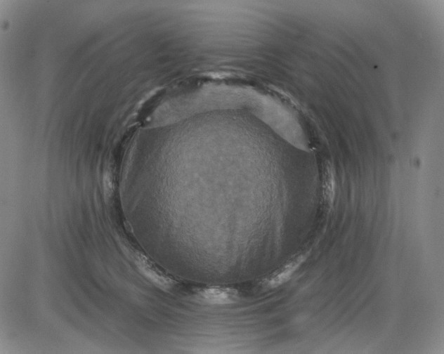 X0000080660566200612301338