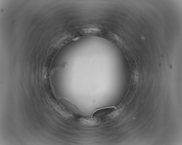 X0000080660567200612301338