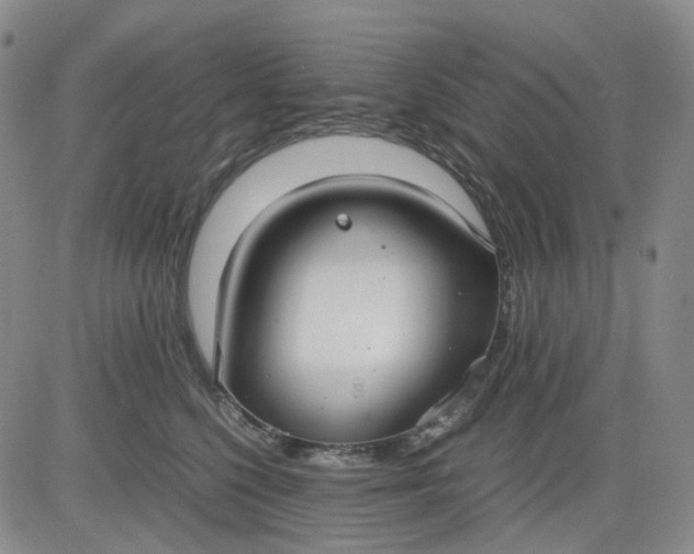 X0000080660568200612301338