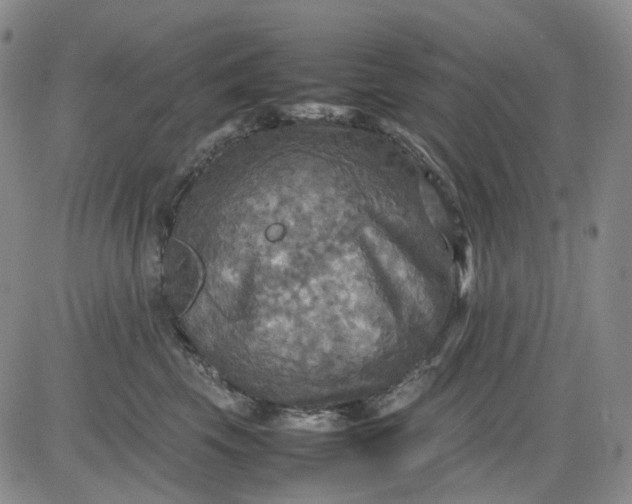 X0000080660569200612301338