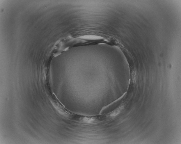 X0000080660570200612301338