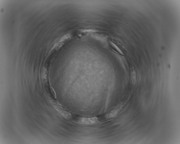 X0000080660571200612301338