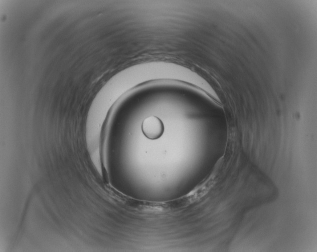 X0000080660572200612301338