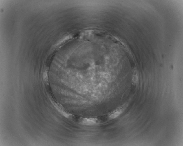 X0000080660573200612301338