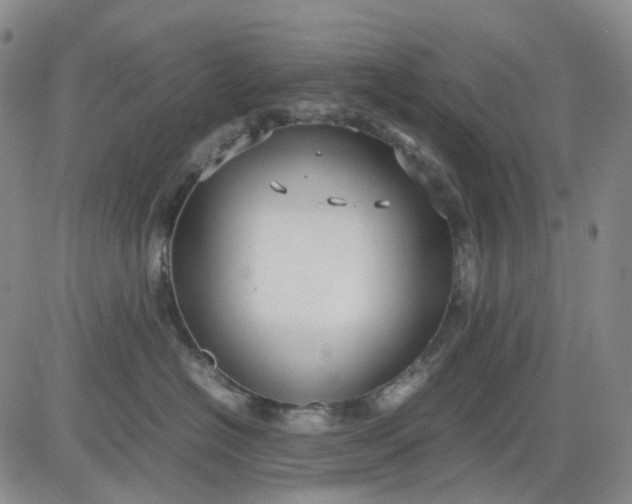 X0000080660574200612301338