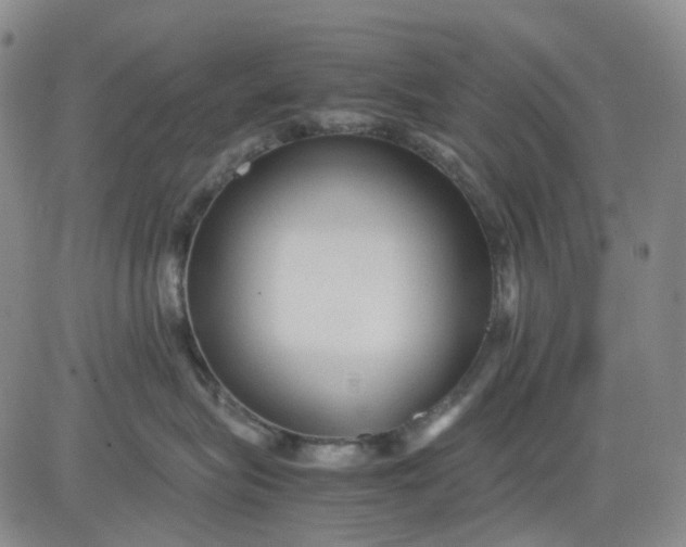 X0000080660575200612301338