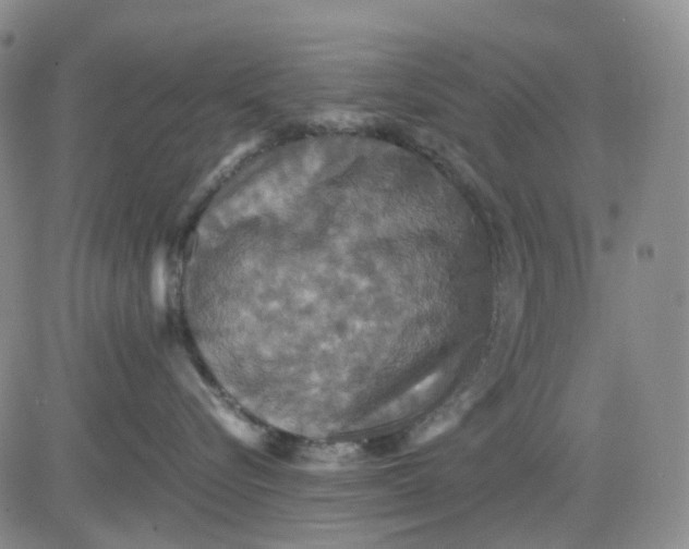 X0000080660576200612301338