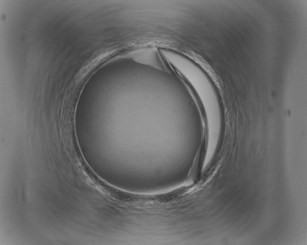 X0000080660577200612301337