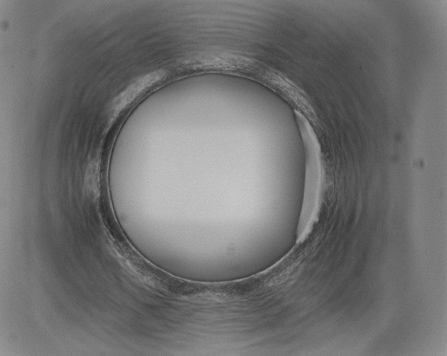 X0000080660578200612301337