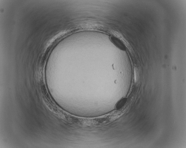 X0000080660579200612301337