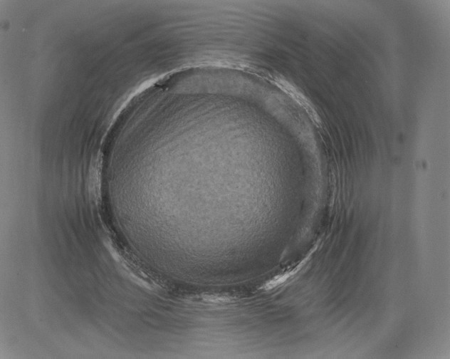 X0000080660580200612301337