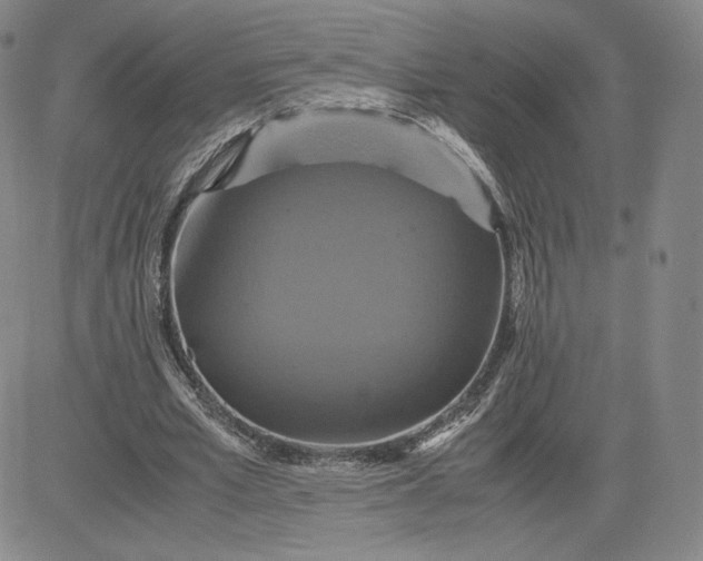 X0000080660581200612301337