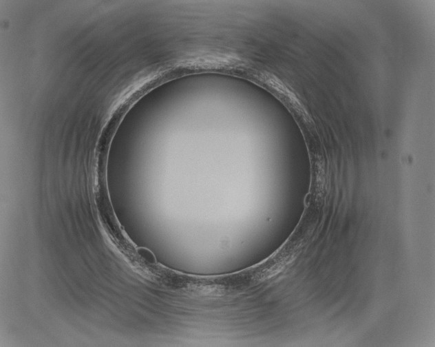 X0000080660582200612301337