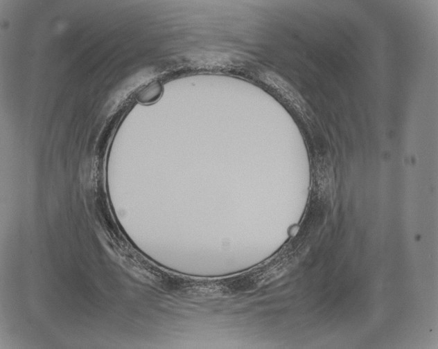 X0000080660583200612301337