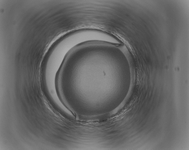 X0000080660584200612301337