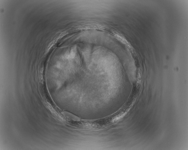 X0000080660585200612301337