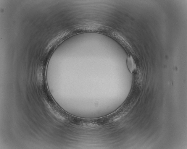 X0000080660586200612301337