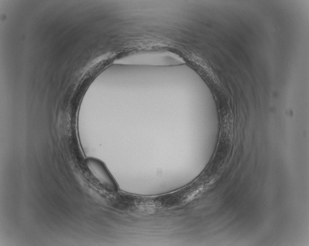 X0000080660587200612301337