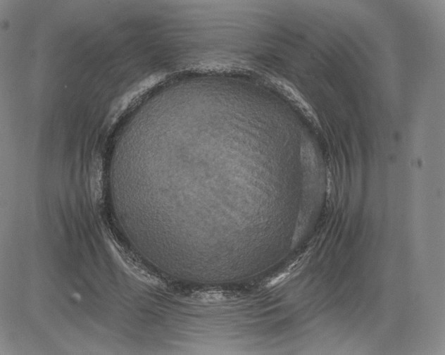 X0000080660588200612301337