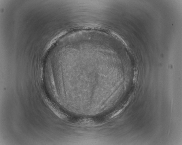 X0000080660589200612301337