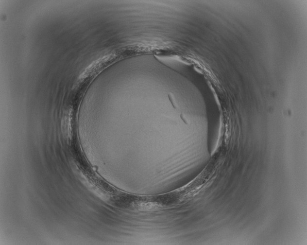 X0000080660590200612301337