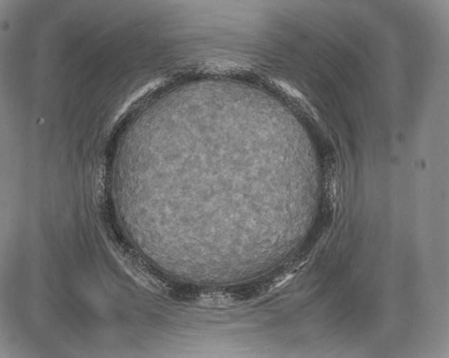 X0000080660591200612301337