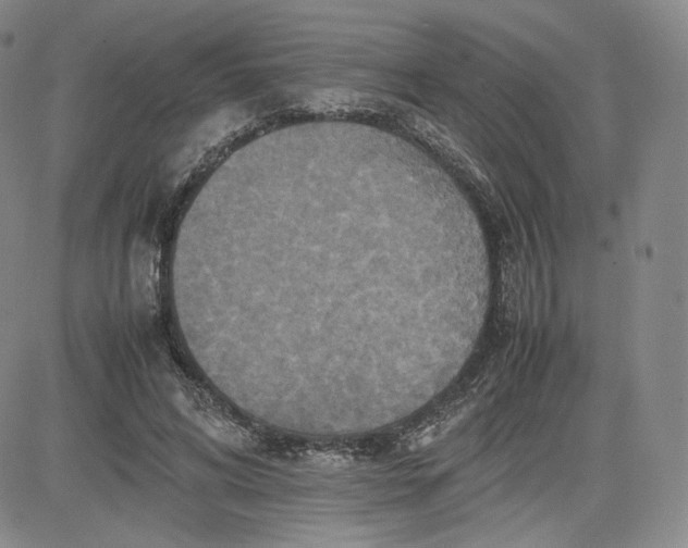 X0000080660592200612301337