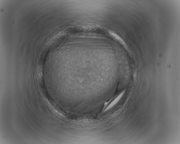 X0000080660593200612301337